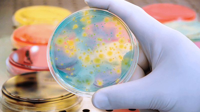 生物科技公司加盟代理，如何精准选择？**