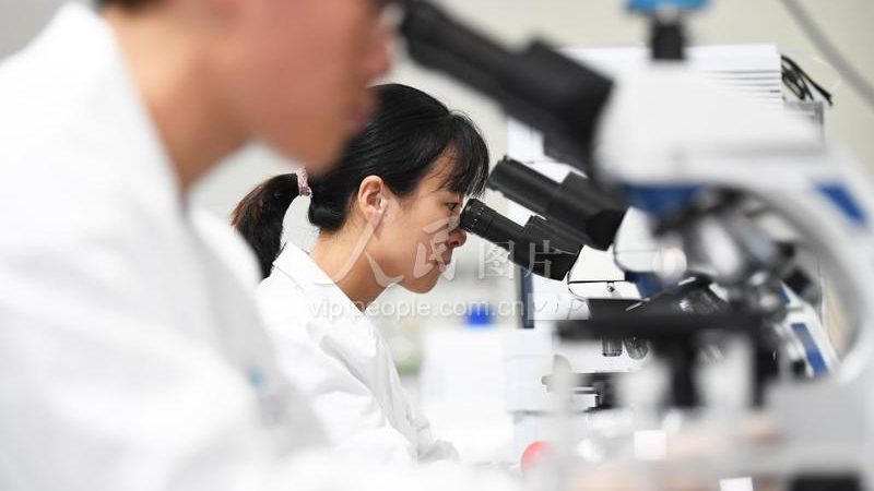 细胞工厂技术参数标准：揭秘高效生产背后的关键要素