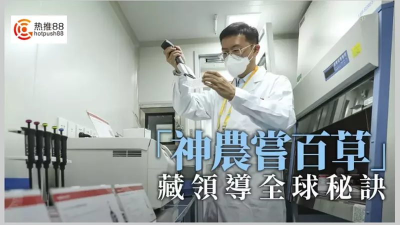 定制化cro优化方案：医药研发的精准利器
