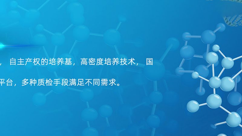 CRO代理加盟：揭秘背后所需的资质与标准**