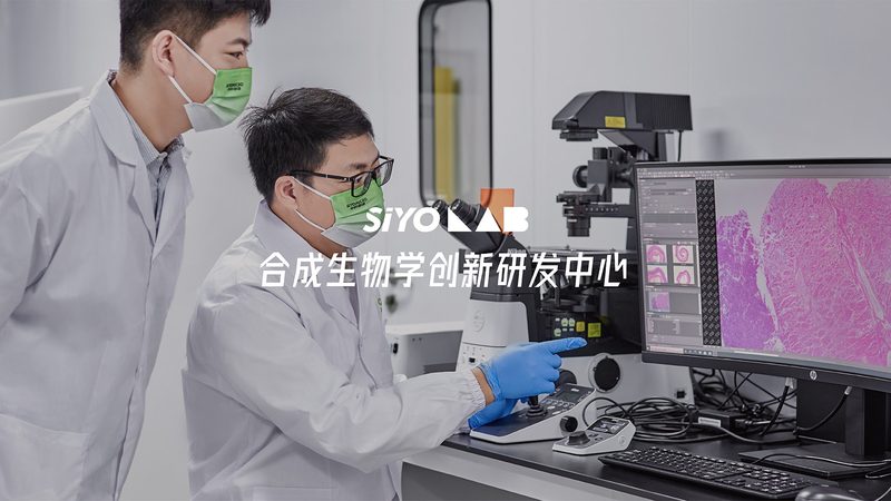 PCR检测Ct值：实验室规范中的关键指标解析