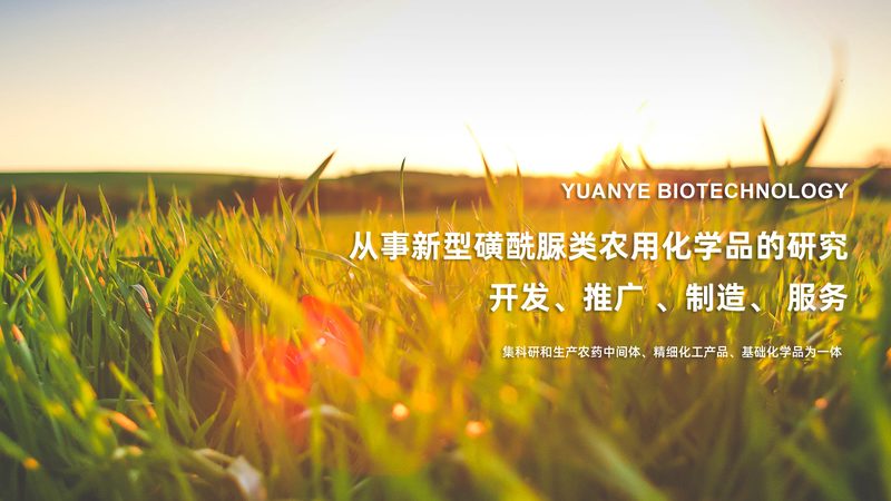 医用离心管：如何选择合适的“得力助手”**