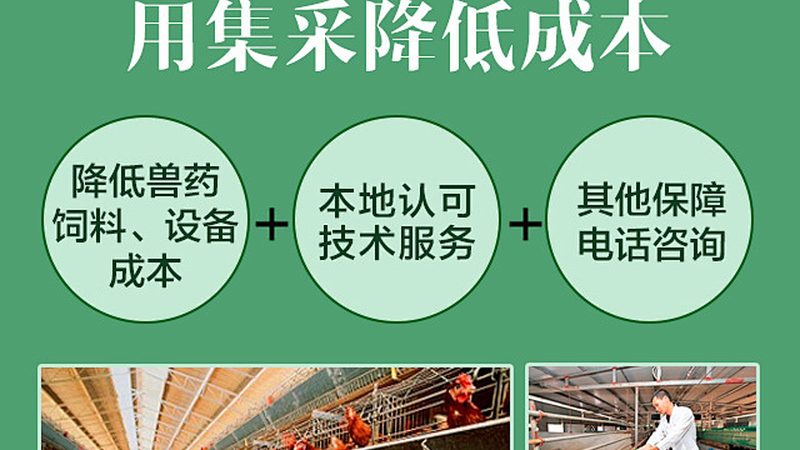 PCR检测标本采集流程：关键步骤与注意事项