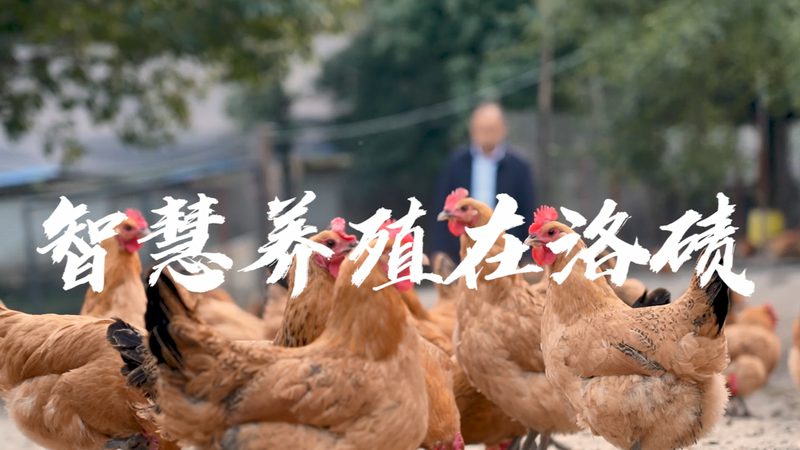 CHO细胞培养基保存，这些细节不容忽视**