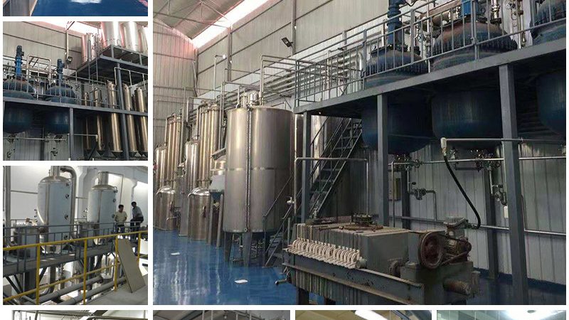 PCR检测试剂规格参数解析：关键指标与选择要点