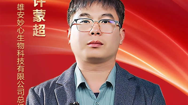 上海CDMO小分子CDMO公司：揭秘小分子药物研发的幕后英雄**