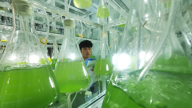 cro实验设计规范：关键要素与注意事项